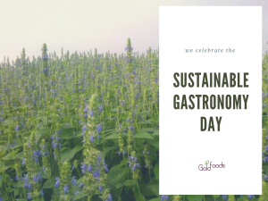 Sustainable gastronomy day