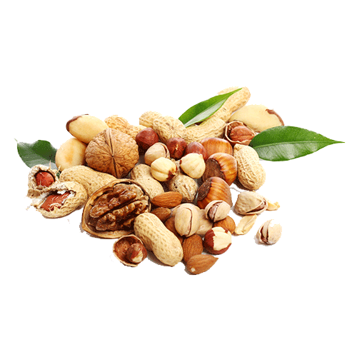 Seed-nuts
